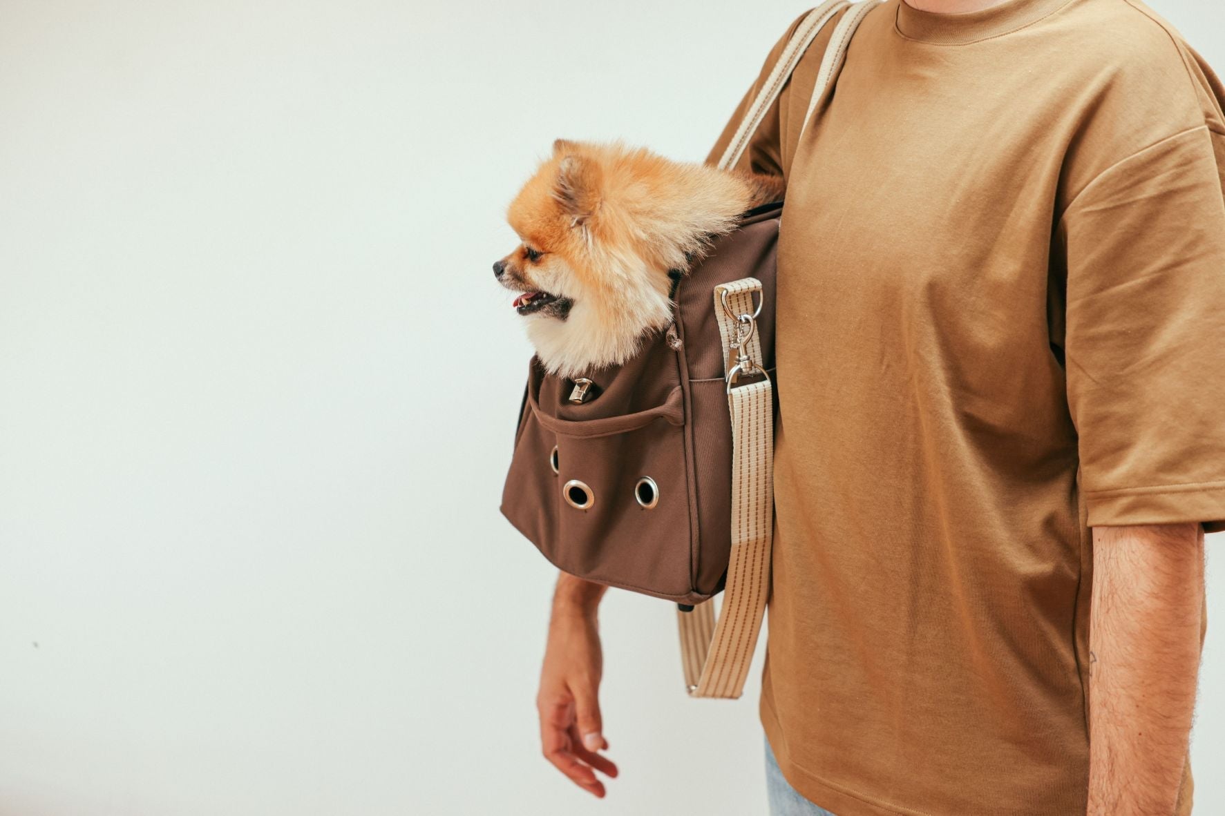 Hard-Shell vs Soft Pet Carriers: How Different Designs Handle Stress, Ventilation and Travel