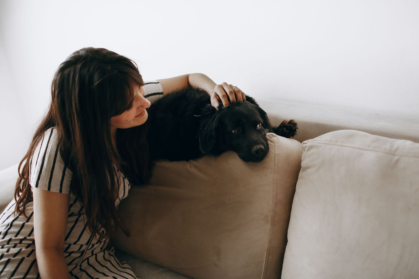 The Hidden Stress Signals Most Pet Owners Miss at Home