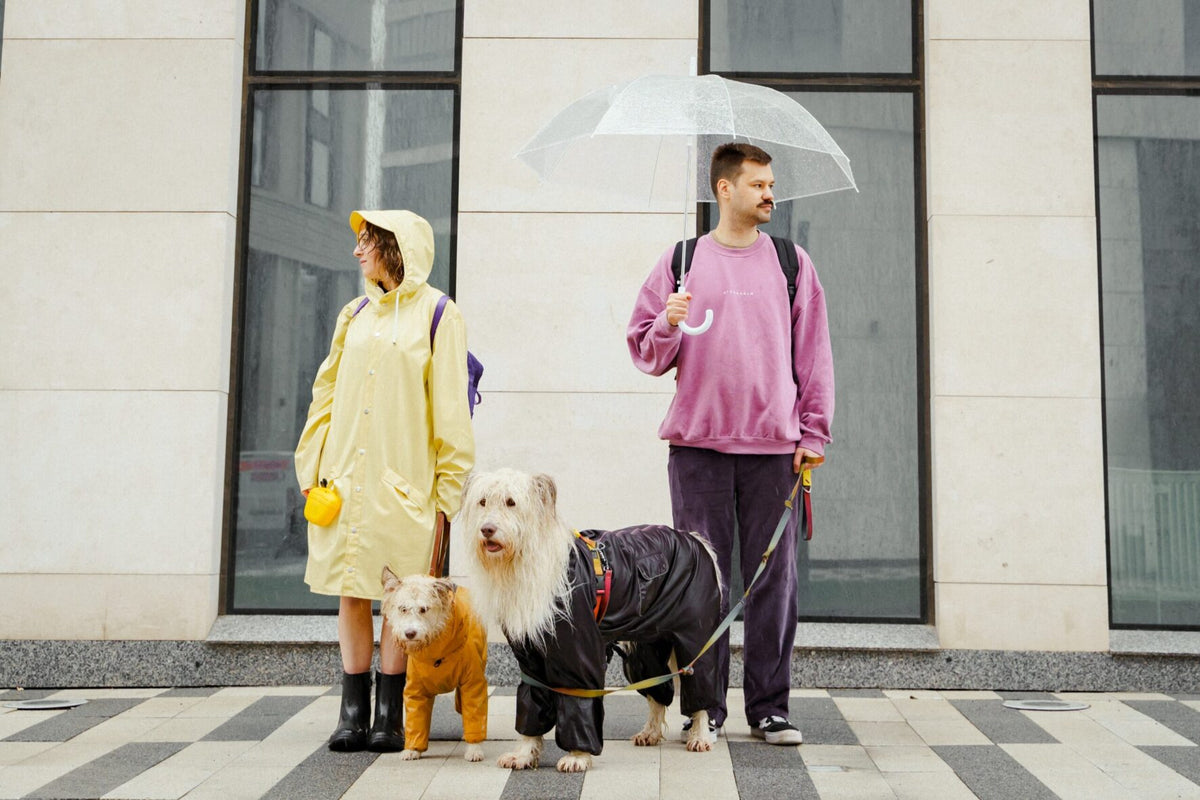 How to be a perfect pet parent?