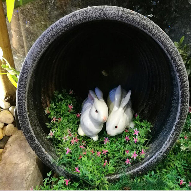 Small Animal Tubes & Tunnels