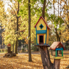 Collection image for: Small Animals Beds & Houses