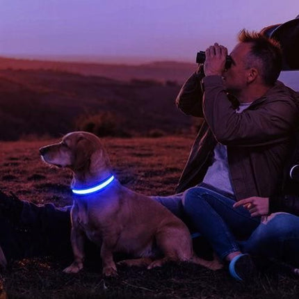 LED Safety Dog Collar - Wnkrs