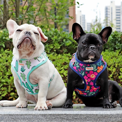 Arnés tipo chaleco de nailon con estampado de cactus para perros: suave y acolchado para mascotas pequeñas y medianas