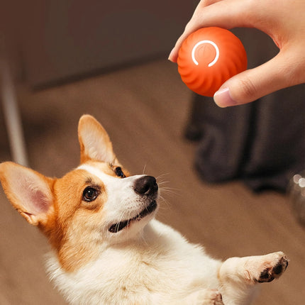 Pelota de juguete inteligente interactiva para perros