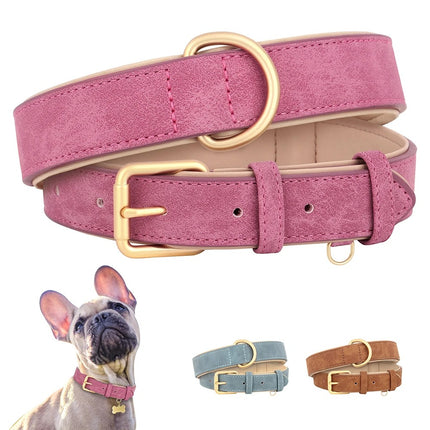 Collier rembourré en cuir souple pour chien, réglable et durable pour chiens de petite et moyenne taille