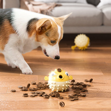 Jouet interactif à mâcher pour chien résistant aux morsures