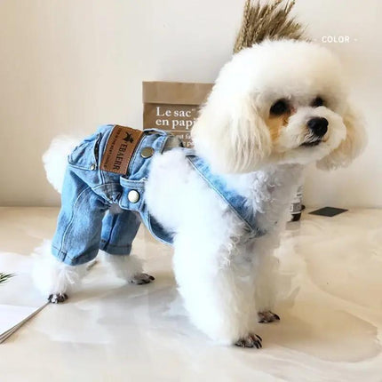 Veste en jean pour chien