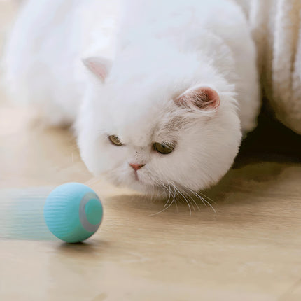 Interactive Electric Cat Ball - Wnkrs