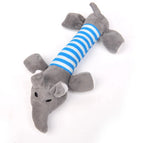 Éléphant gris