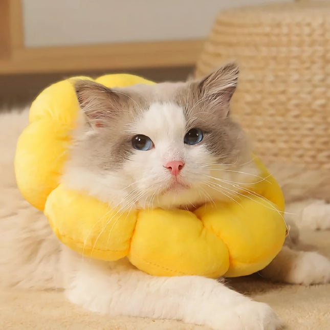 Collar antimordeduras con forma de girasol de algodón amarillo para gatos