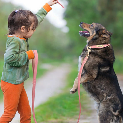 Correa para perros de cuero suave y acolchada - 120 cm para adiestramiento y paseos