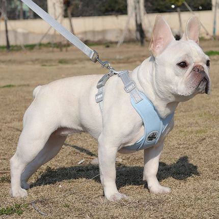 Harnais réglable anti-traction pour chien avec ensemble de laisse