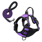 S / Purple