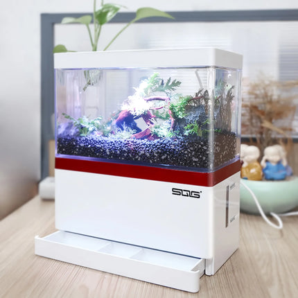 Mini aquarium à circulation automatique avec filtre de chargement USB