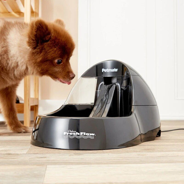 Advanced Purifying Pet Water Fountain with Quiet Operation - Wnkrs