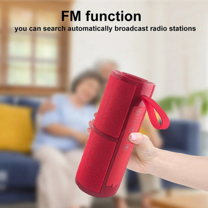 Haut-parleur radio FM Bluetooth portable avec lumière RVB et caisson de basses