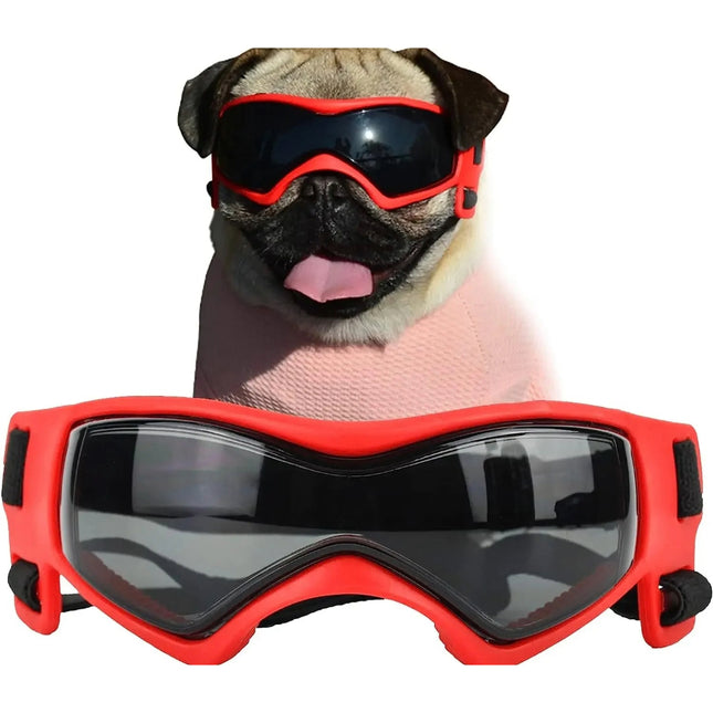 Lunettes de soleil pour petits chiens