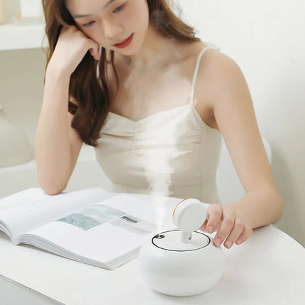 Desktop Home Air Humidifier with Light - Wnkrs