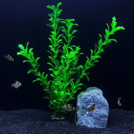 Plante artificielle pour aquarium de 30 cm de haut