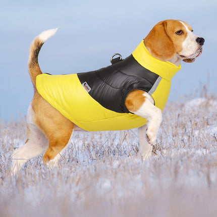 Veste réfléchissante imperméable pour chien