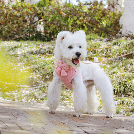 Conjunto de arnés y correa de malla ajustable para perros con lindo lazo