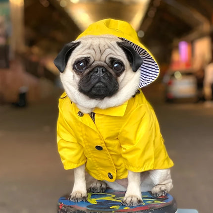 Imperméable pour chiens de taille moyenne et grande