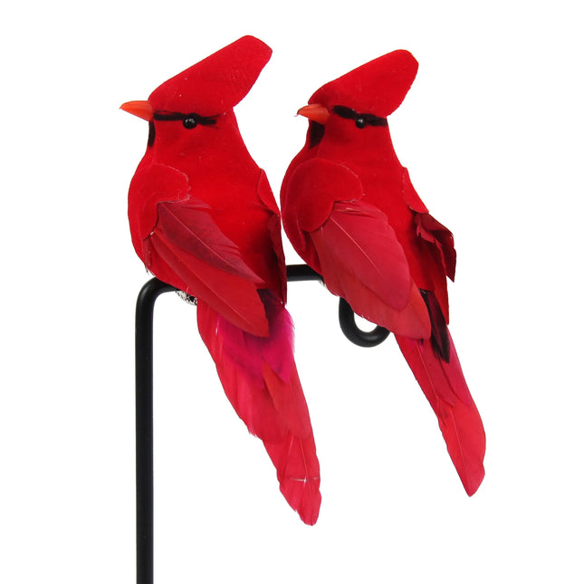 Simulación de aves con plumas