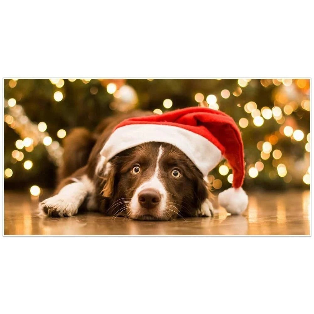 Toutou et son chapeau de noël - Kit broderie diamants