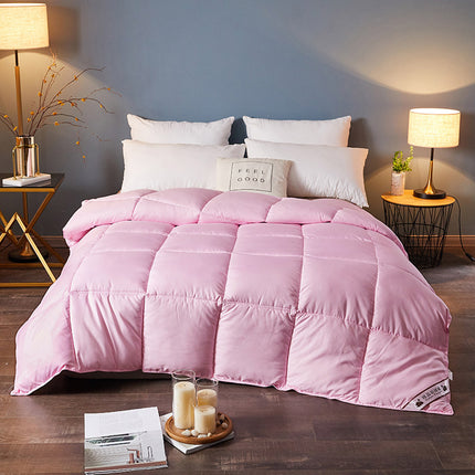 Down Duvet, Winter Duvet, Goose Down Duvet Core, Air Conditioner - Wnkrs