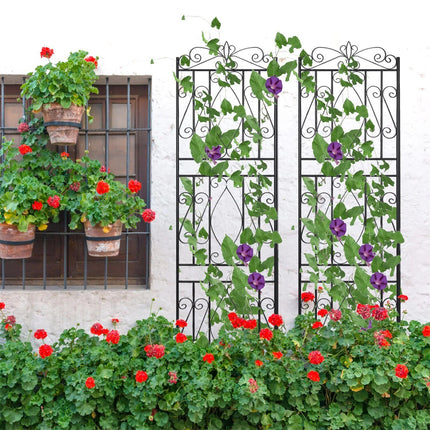 Elegant 2PCS Metal Garden Trellis - Wnkrs