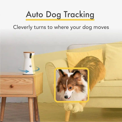 Caméra HD pour animaux de compagnie avec vue à 360° et alertes de lancer de friandises et d'aboiements - Parfait pour la surveillance des chiens