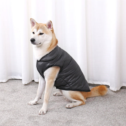 Veste d'hiver confortable pour chien