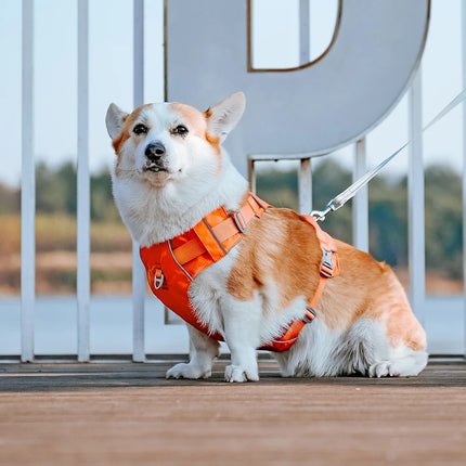 Harnais réfléchissant en nylon pour chien, réglable et respirant, pour chiens de petite, moyenne et grande taille