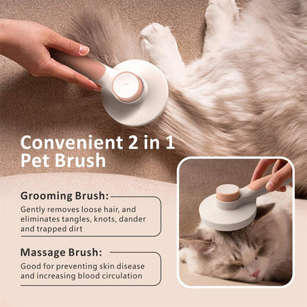 Brosse à poils de chat et peigne de toilettage pour animaux de compagnie 2 en 1