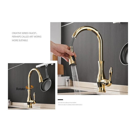 Gold Pull Out Kitchen Faucet - Wnkrs
