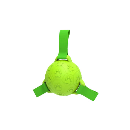 Ballon de football interactif pour chien avec sangles