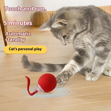 Jouet interactif à balle roulante pour chat avec coque en silicone - Mouvement automatique et capteur intelligent