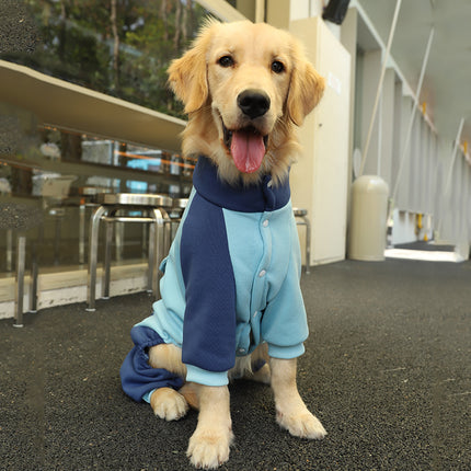 Veste sportive pour gros chien