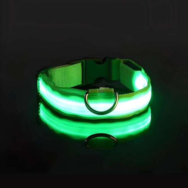 Collier LED réglable pour chien - Rechargeable par USB, lumière de sécurité clignotante, plusieurs tailles