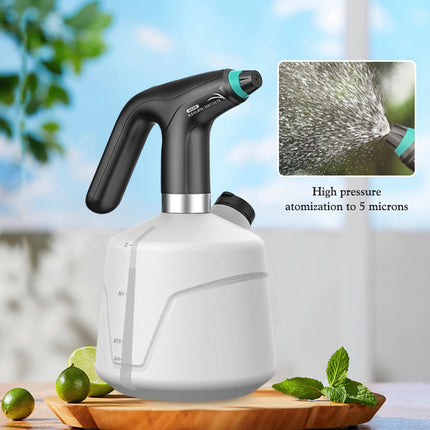 Vaporisateur électrique pour plantes