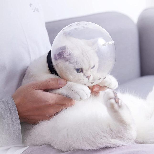 Campana espacial para el cuidado de gatos