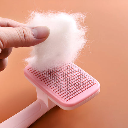 Brosse de toilettage pour animaux de compagnie avec peigne à aiguilles en acier inoxydable