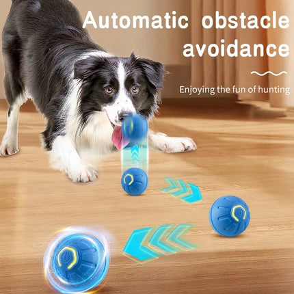 Balle jouet interactive intelligente pour chien