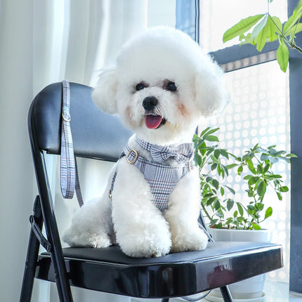 Ensemble harnais et laisse pour chien tendance avec nœud papillon