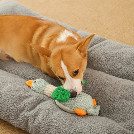 Jouet à mâcher en peluche couinant en forme d'oie sauvage pour chiens - Doux, amusant et durable