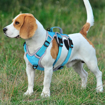 Harnais réglable en nylon réfléchissant pour chien pour l'entraînement