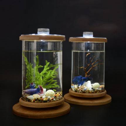 Mini aquarium rotatif