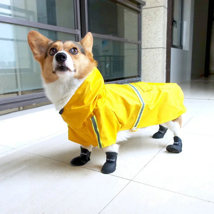 Chubasquero impermeable con capucha para perros pequeños y grandes