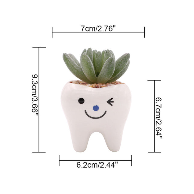 Encantadora maceta de cerámica en forma de diente para suculentas y cactus