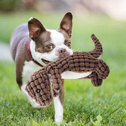 Jouet couineur en peluche résistant aux morsures pour chien